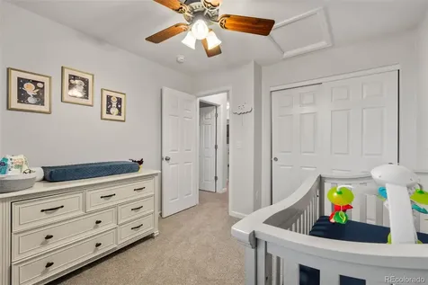 1378 Willow Oak Road Castle Rock CO 80104