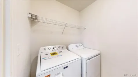 1723 Thrive Drive Windsor CO 80550