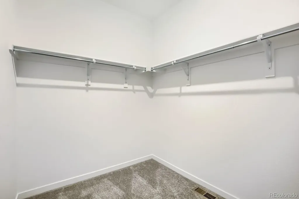 6186 Drum Place Loveland CO 80538