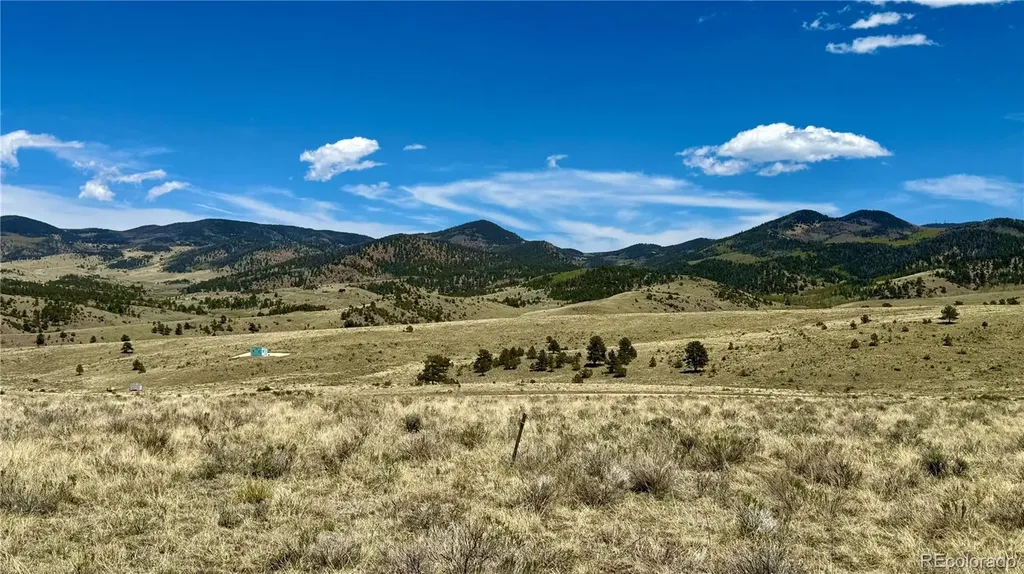 99 Melody Circle Westcliffe CO 81252