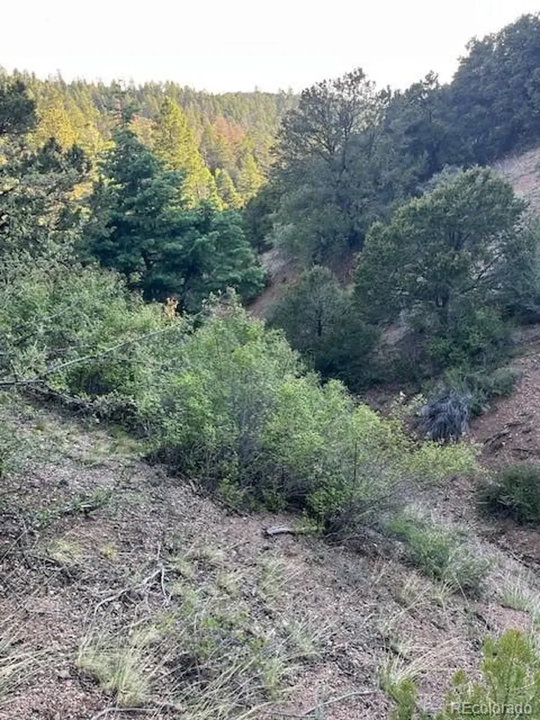 Lot 5693 Balleroy Road San Luis CO 81152