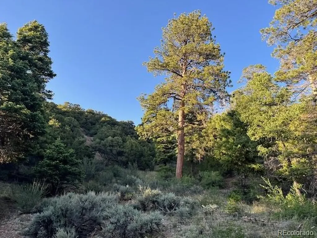 Lot 5693 Balleroy Road San Luis CO 81152