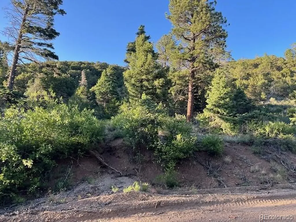 Lot 5693 Balleroy Road San Luis CO 81152