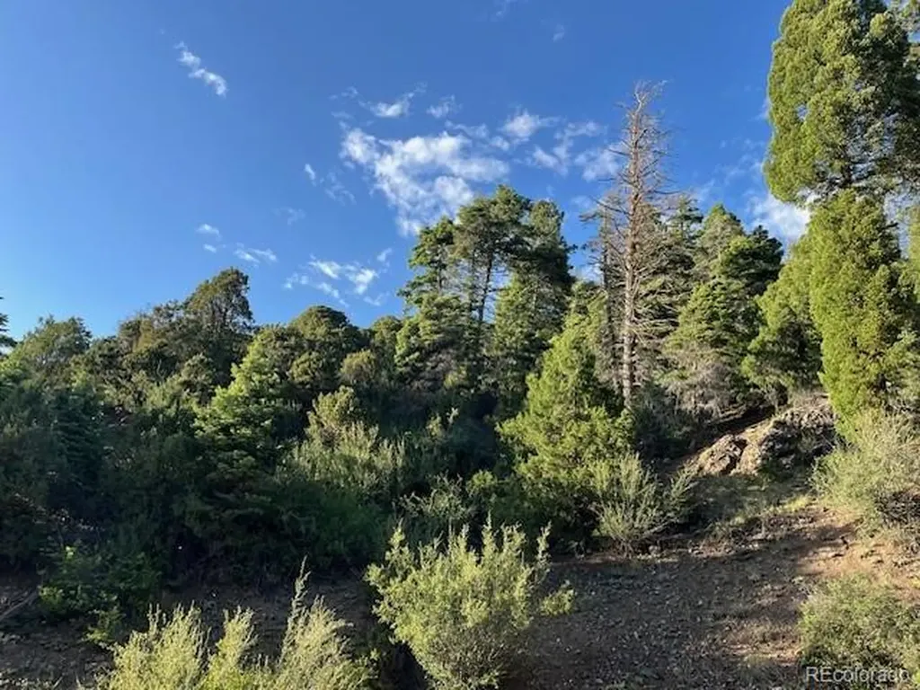 Lot 5693 Balleroy Road San Luis CO 81152