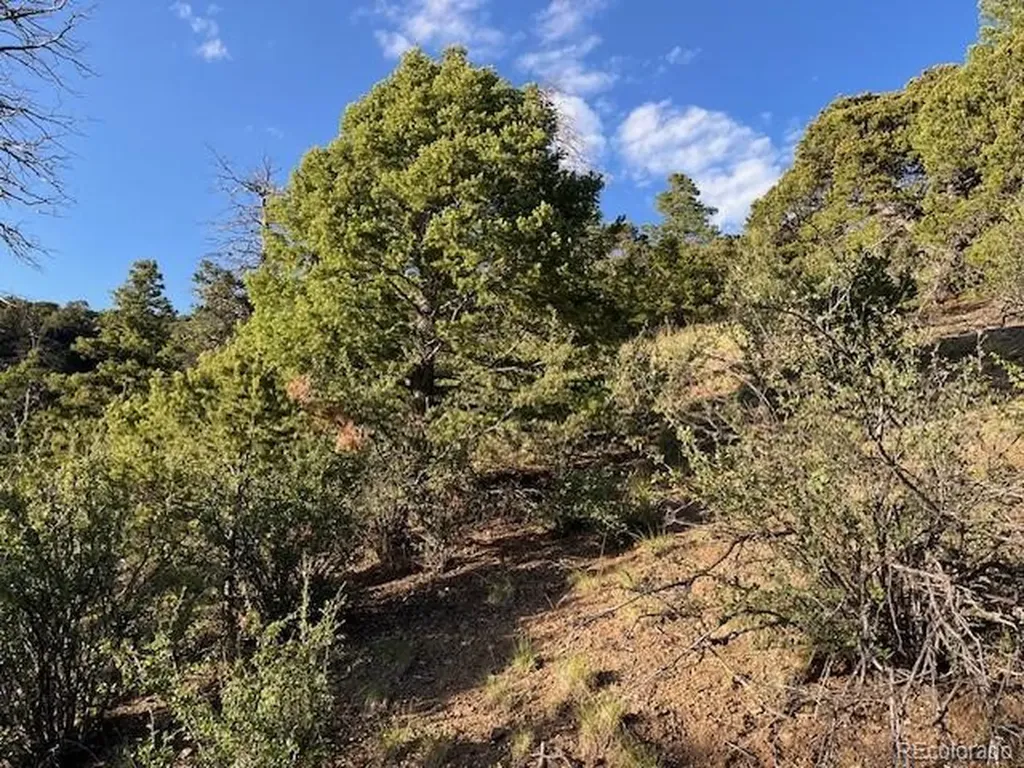Lot 5693 Balleroy Road San Luis CO 81152