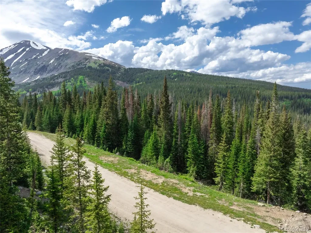 275 Cr 805 Breckenridge CO 80424