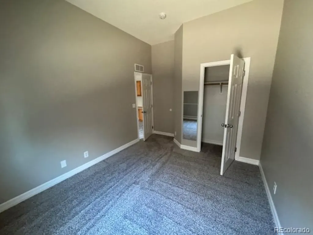 1607 Wild Blossom Way Castle Rock CO 80104