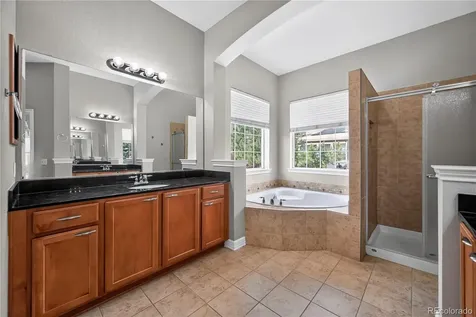 1607 Wild Blossom Way Castle Rock CO 80104
