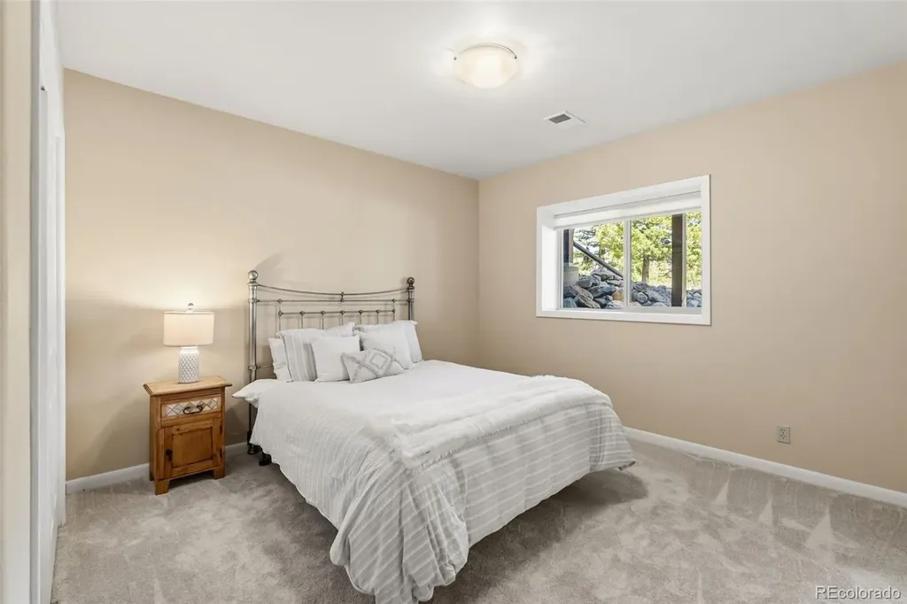 30477 Harvard Circle Buena Vista CO 81211