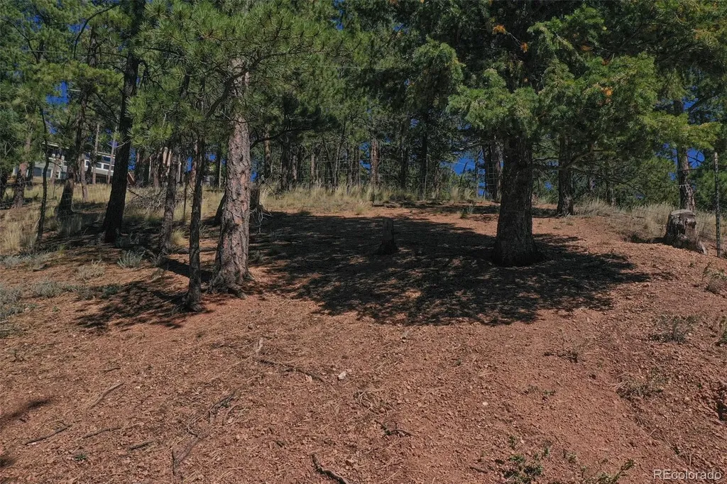 181 Valley Lane Woodland Park CO 80863