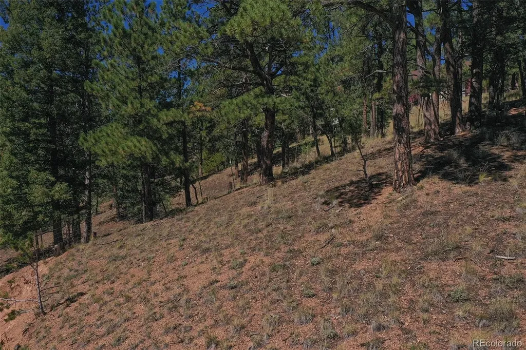 181 Valley Lane Woodland Park CO 80863