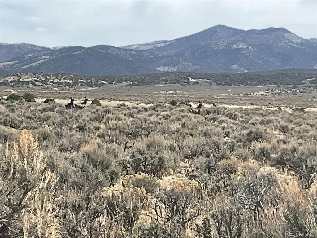 Lot 2923 Patterson Road Fort Garland CO 81133