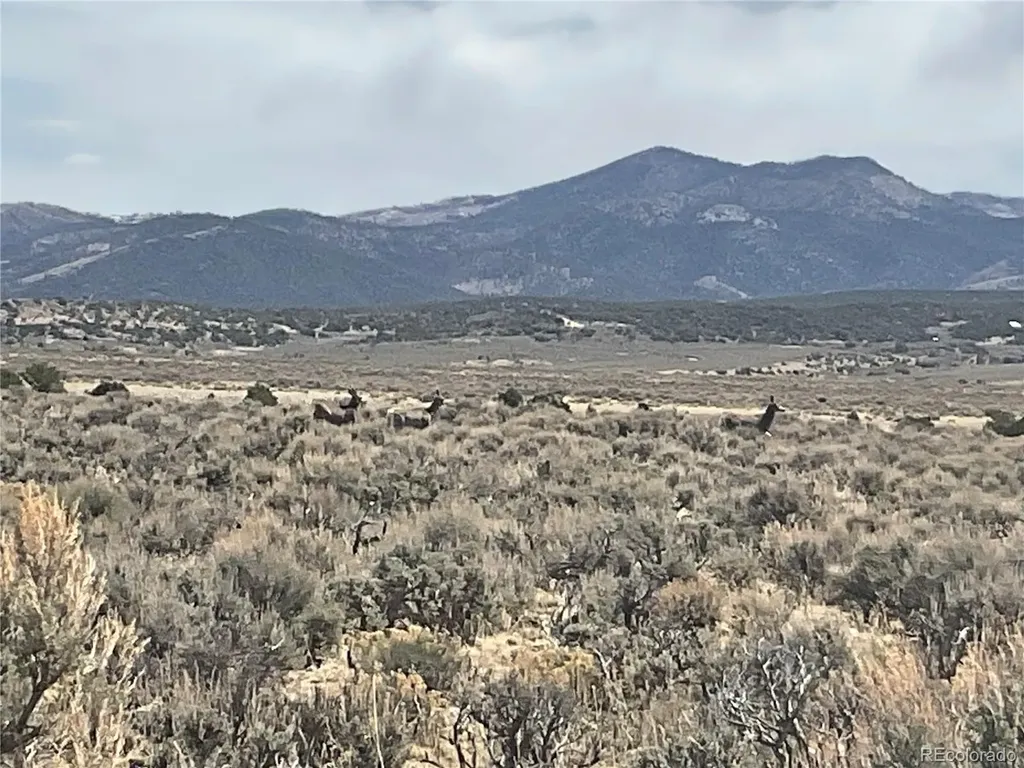 Lot 2923 Patterson Road Fort Garland CO 81133