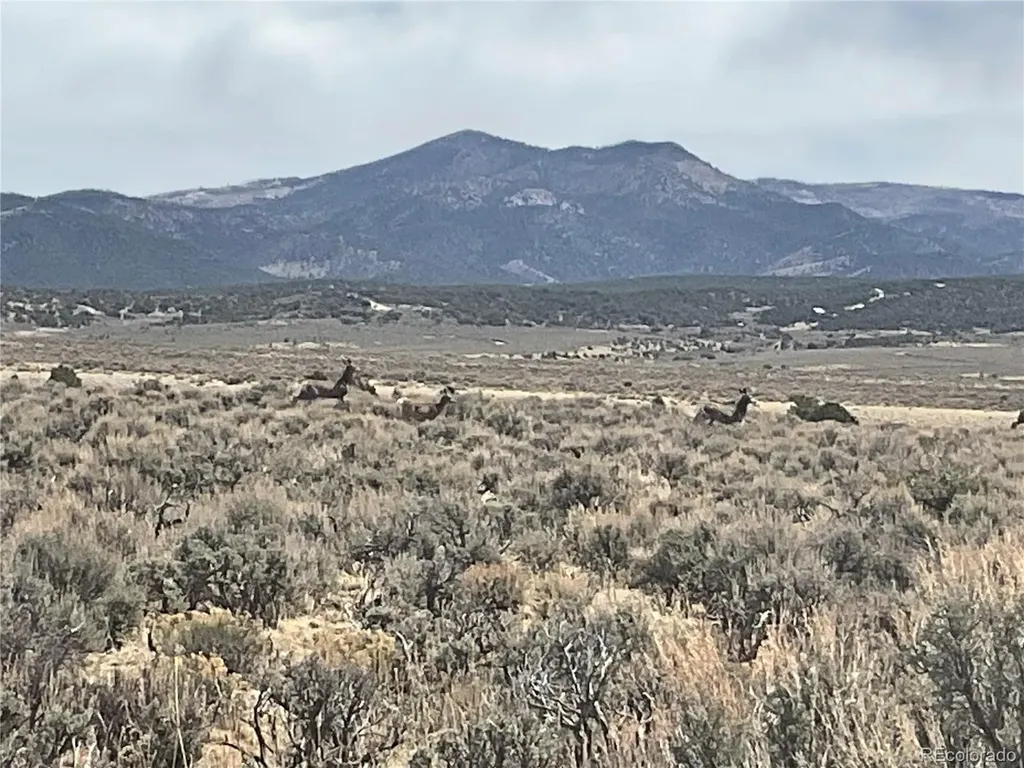 Lot 2923 Patterson Road Fort Garland CO 81133