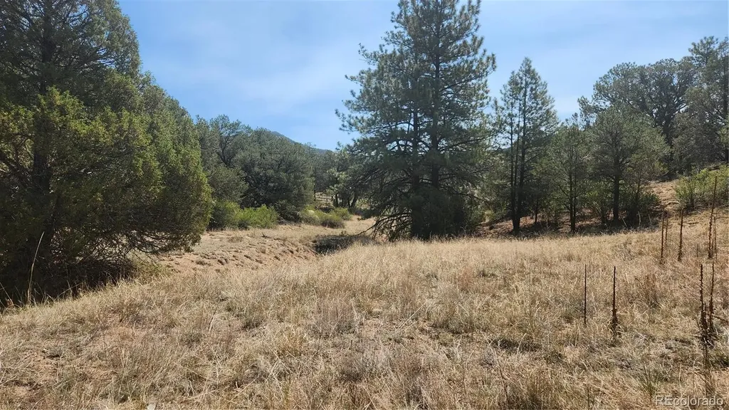 161 Ponderosa Lane Cotopaxi CO 81223