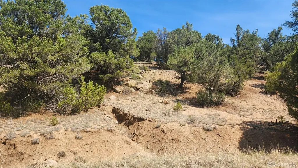 161 Ponderosa Lane Cotopaxi CO 81223