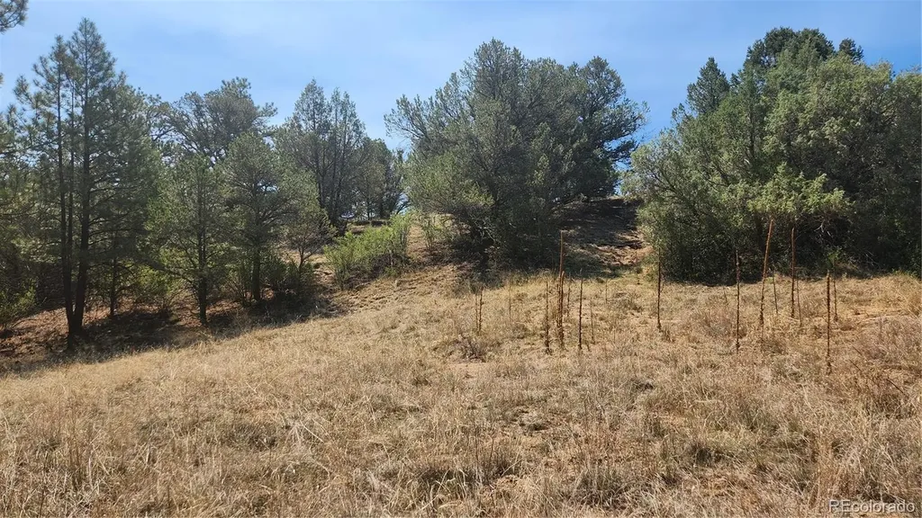 161 Ponderosa Lane Cotopaxi CO 81223