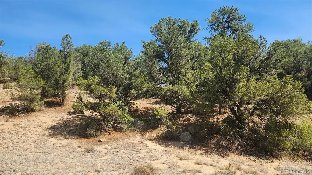 161 Ponderosa Lane Cotopaxi CO 81223