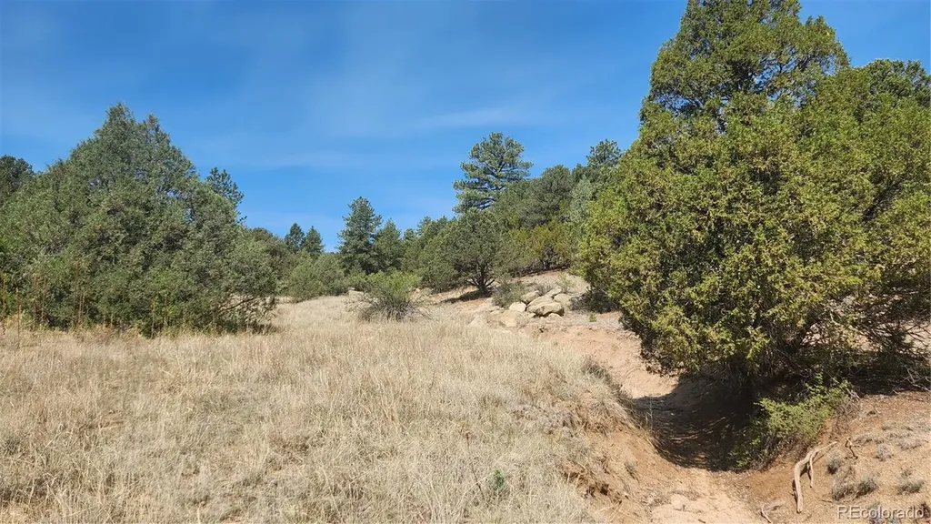 161 Ponderosa Lane Cotopaxi CO 81223