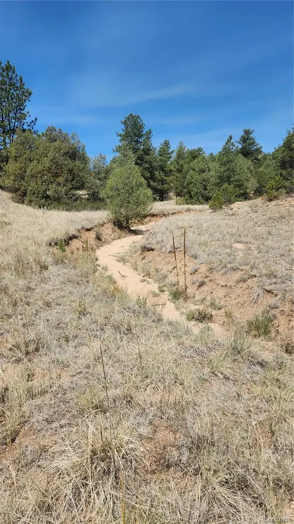 161 Ponderosa Lane Cotopaxi CO 81223