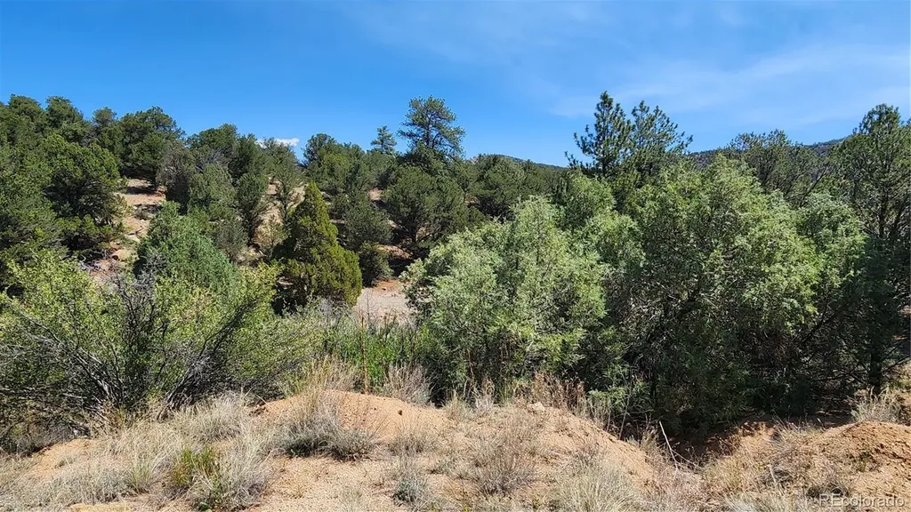 161 Ponderosa Lane Cotopaxi CO 81223