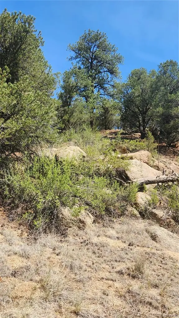 161 Ponderosa Lane Cotopaxi CO 81223