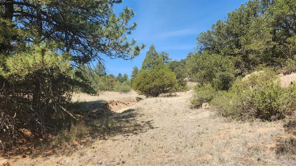161 Ponderosa Lane Cotopaxi CO 81223