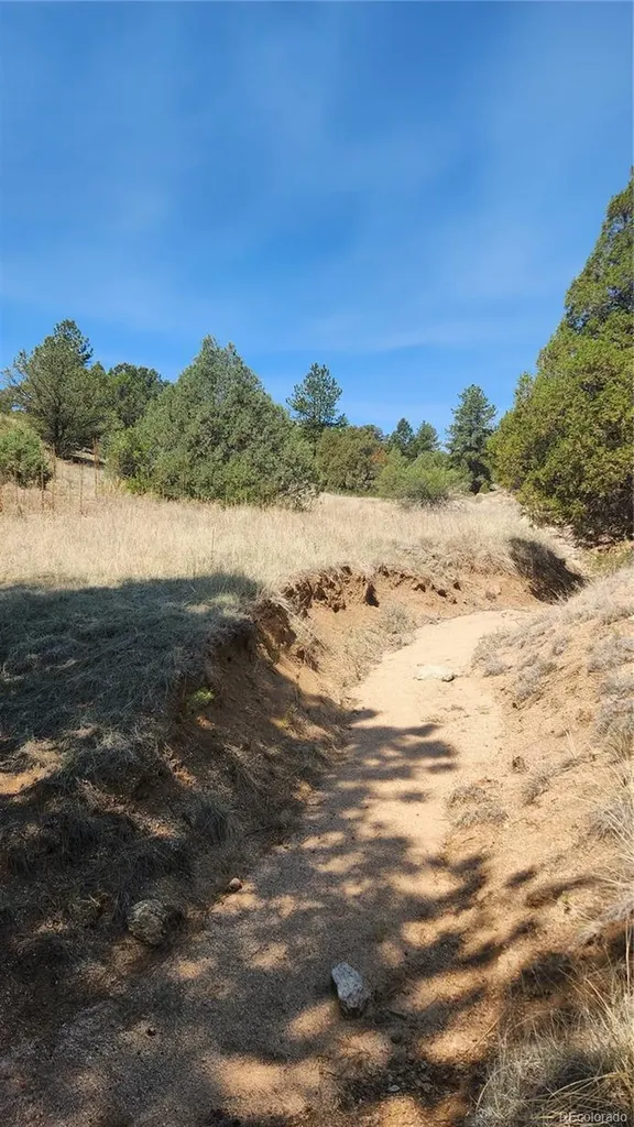 161 Ponderosa Lane Cotopaxi CO 81223