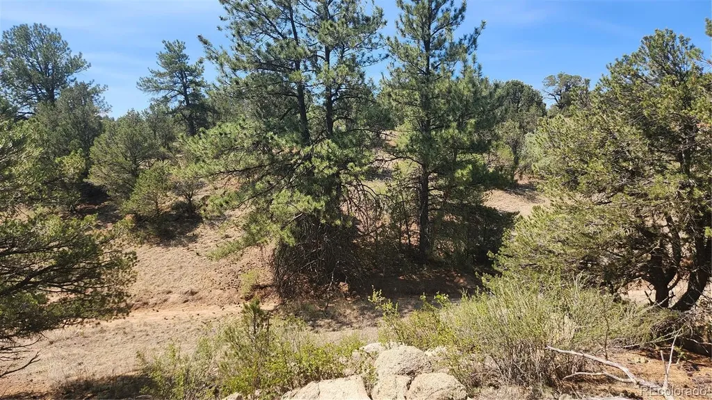 161 Ponderosa Lane Cotopaxi CO 81223