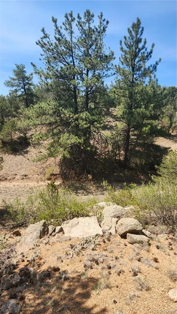 161 Ponderosa Lane Cotopaxi CO 81223