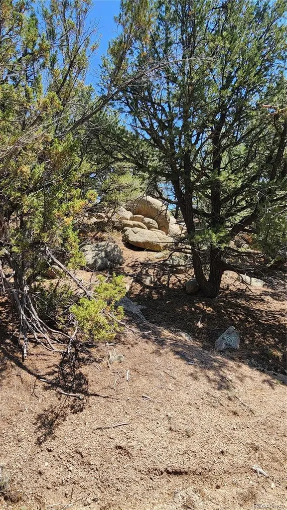 161 Ponderosa Lane Cotopaxi CO 81223