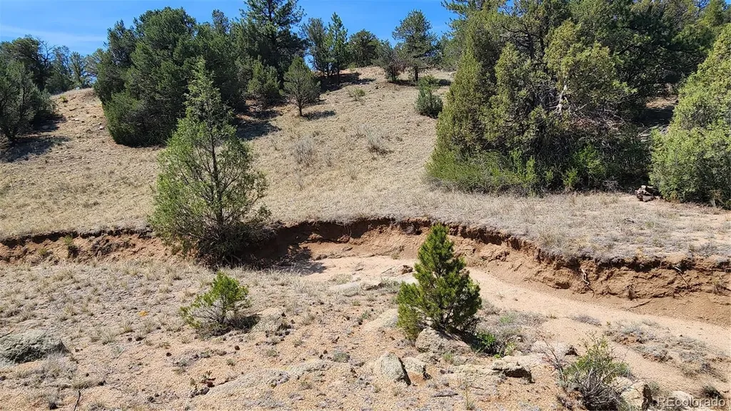 161 Ponderosa Lane Cotopaxi CO 81223
