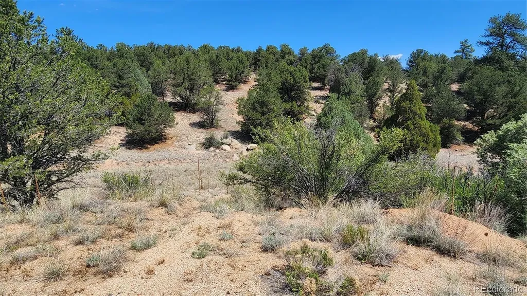 161 Ponderosa Lane Cotopaxi CO 81223
