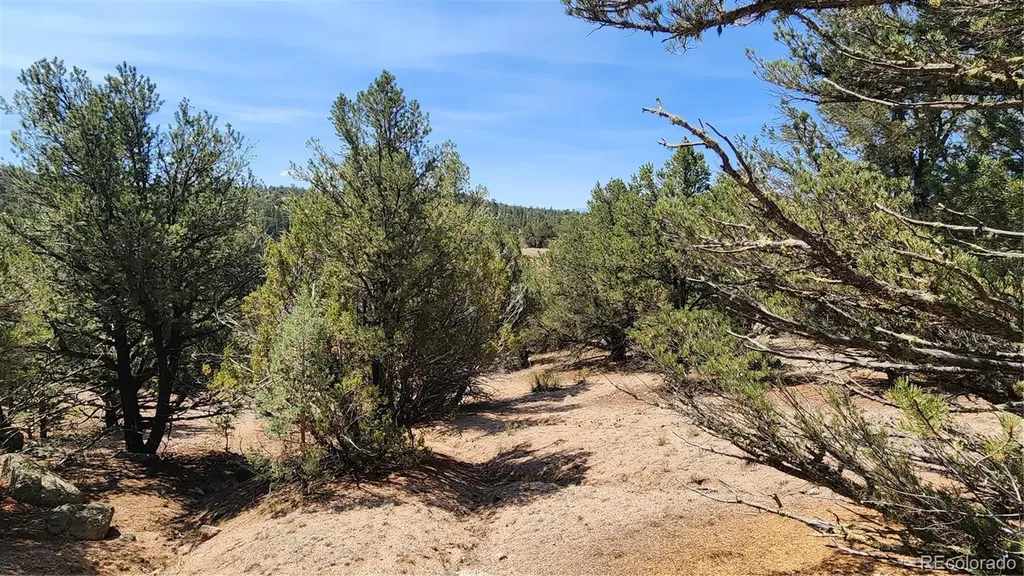 161 Ponderosa Lane Cotopaxi CO 81223