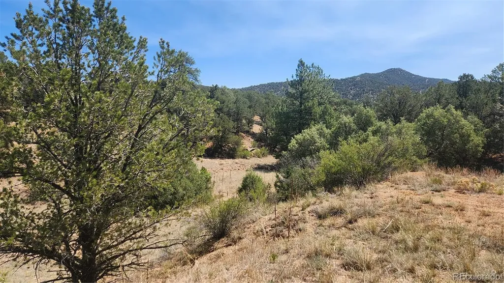 161 Ponderosa Lane Cotopaxi CO 81223