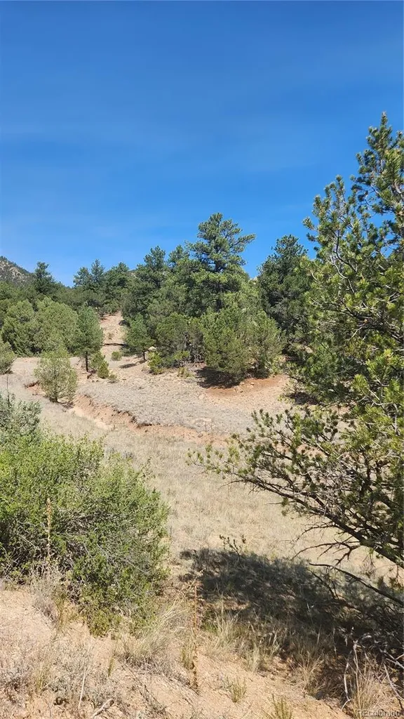 161 Ponderosa Lane Cotopaxi CO 81223