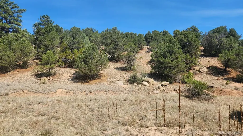 161 Ponderosa Lane Cotopaxi CO 81223