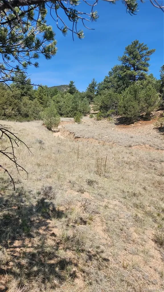 161 Ponderosa Lane Cotopaxi CO 81223