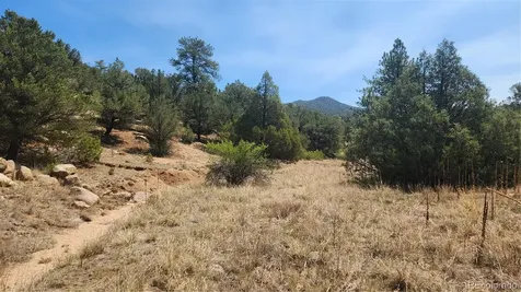 161 Ponderosa Lane Cotopaxi CO 81223