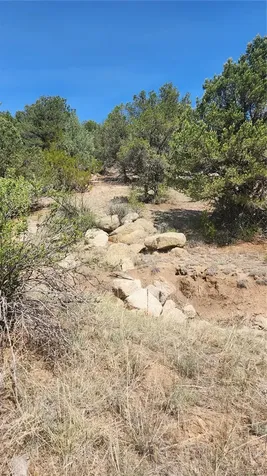 161 Ponderosa Lane Cotopaxi CO 81223