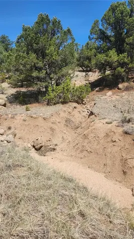 161 Ponderosa Lane Cotopaxi CO 81223