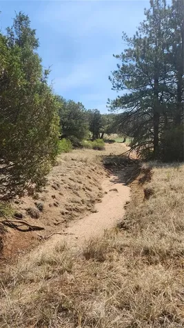 161 Ponderosa Lane Cotopaxi CO 81223