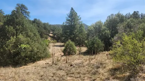 161 Ponderosa Lane Cotopaxi CO 81223