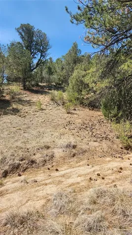 161 Ponderosa Lane Cotopaxi CO 81223