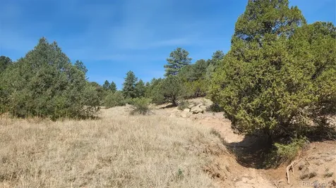 161 Ponderosa Lane Cotopaxi CO 81223
