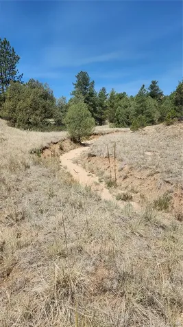 161 Ponderosa Lane Cotopaxi CO 81223