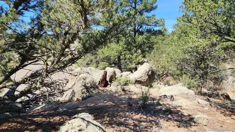 161 Ponderosa Lane Cotopaxi CO 81223