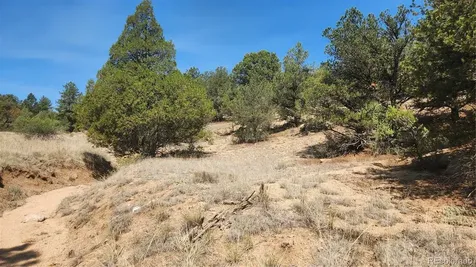 161 Ponderosa Lane Cotopaxi CO 81223