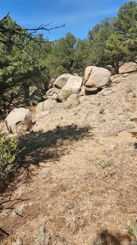 161 Ponderosa Lane Cotopaxi CO 81223
