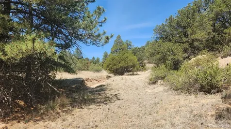 161 Ponderosa Lane Cotopaxi CO 81223